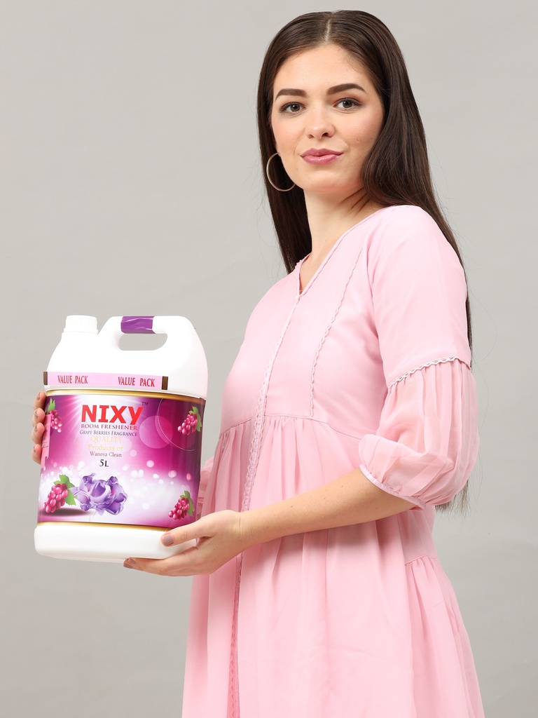 NIXY Room Freshener (Euphoria) Grape Berry Fresh - 5 L